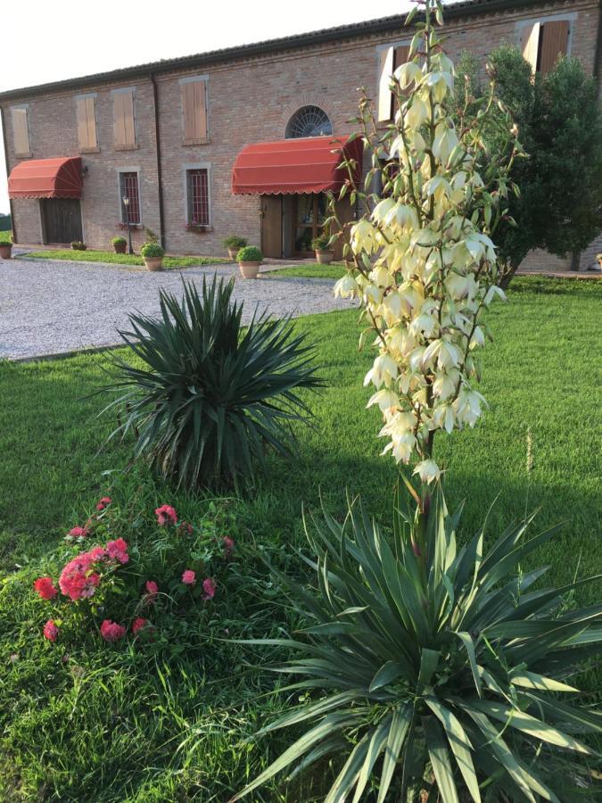 Il Frattiero B&B Voghenza Bagian luar foto